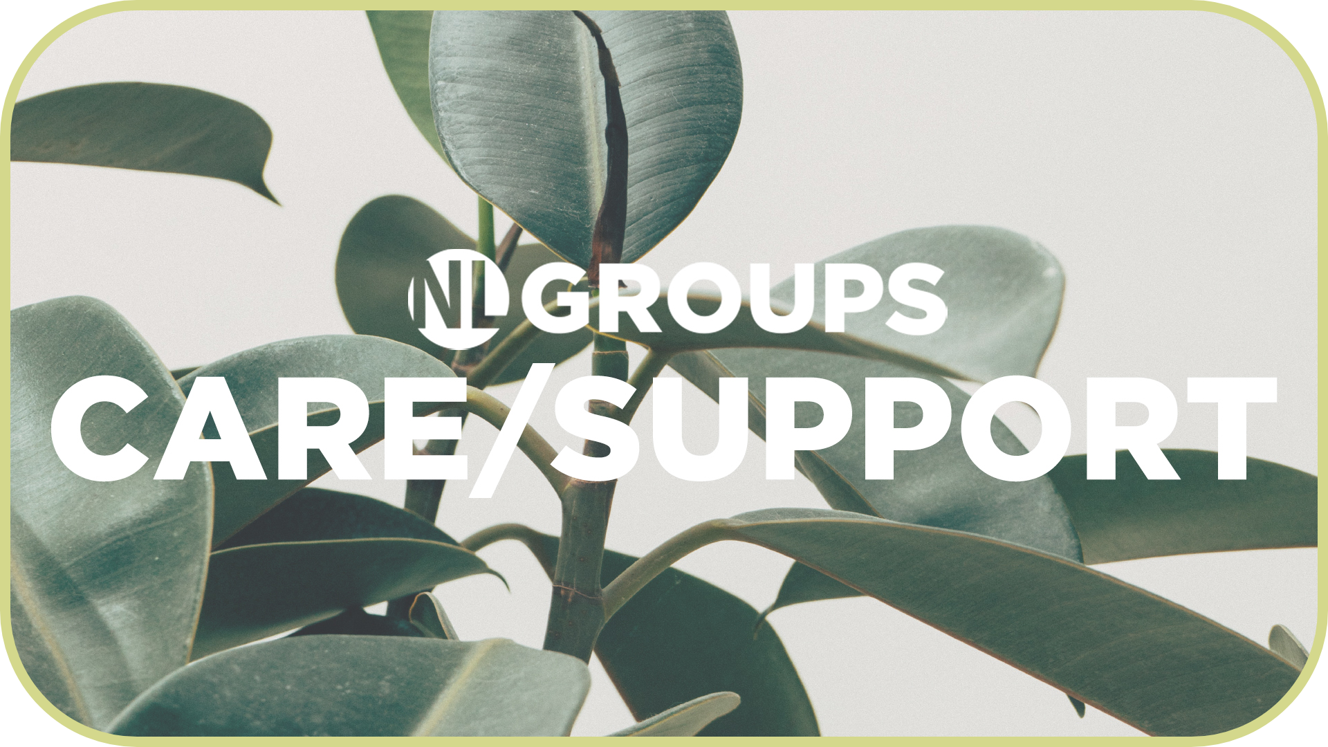 NL Groups Image